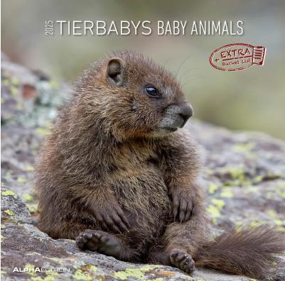 Produktbild Alpha Edition Tierbabys 2026 - Broschürenkalender 30x30 cm (30x60 geöffnet) - Kalender mit Platz für Notizen - (30 x 30 cm, Harter Einband, Niederländisch, Englisch)