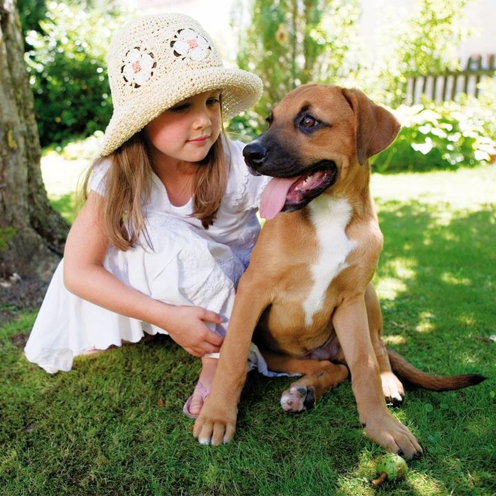 Produktbild Happy Dog NaturCroq für Welpen (Junior, 1 Stk., 15000 g)