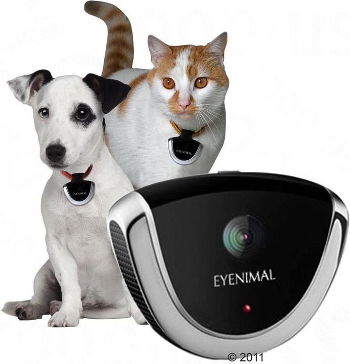 Produktbild Eyenimal Haustierkamera Komplett-Set (Katze, Jogging, Spazieren)