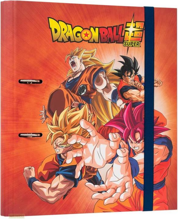 Image du produit Dragon Ball - 2 Anneaux (A4)