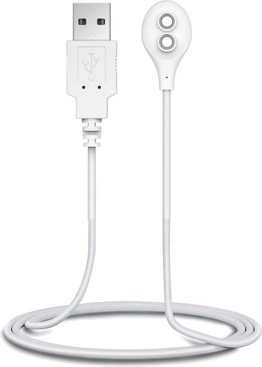 Image du produit Lovense Magnetisches Ladegerät
