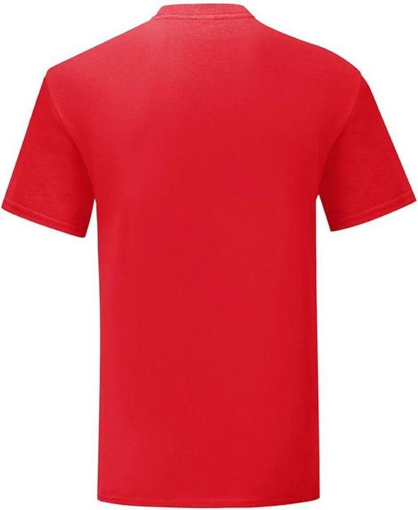 Actual product image Fruit of the Loom Iconic 150 Tshirt (4XL)