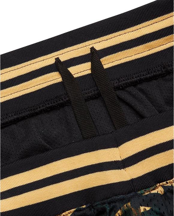 Produktbild Under Armour Curry Mesh Short 1 (S)