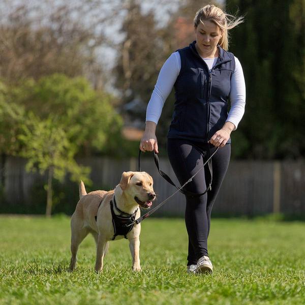 Productafbeelding Company of Animals Halti No Pull Antizug M Harness (M, Hond, Hondensport)