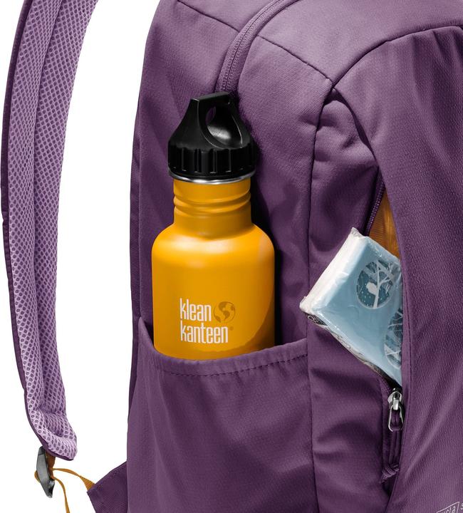 Actual product image Deuter Vista Skip (14 l)