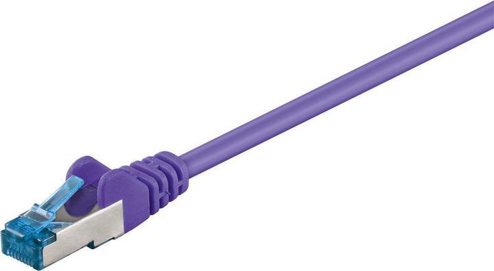 Viola