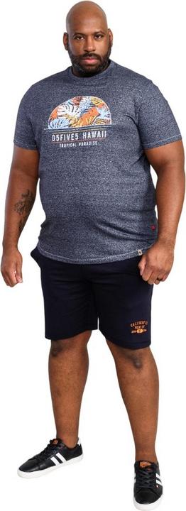 Actual product image DUKE Mens D555 Upton Hawaii Leaf Print Kingsize T-Shirt (4XL)