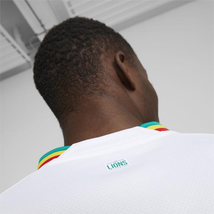 Image du produit Puma FSF Home Jersey Replica (XXL)