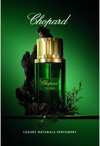 Immagine prodotto Chopard Cedro di Malaki (Eau de parfum, 80 ml)