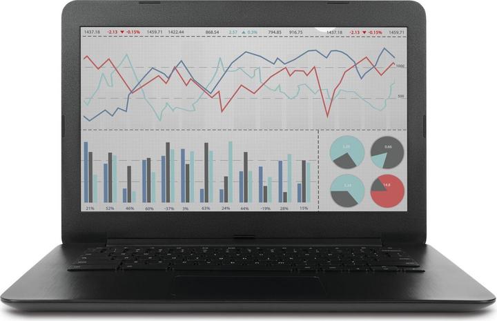 Actual product image Lenovo Privacy Filter For Thinkpad E14 Gen 6 (14", 16 : 10)