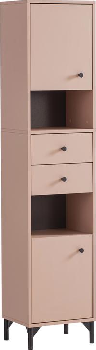 Schildmeyer Smash (40.5 x 33 x 181.5 cm)