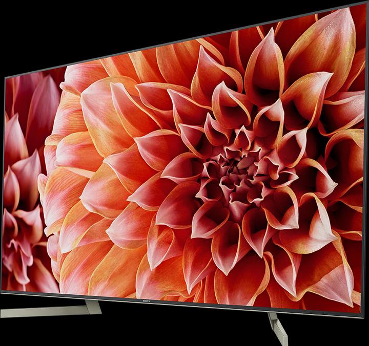 Immagine prodotto Sony Kd-55xf9005 (55", LCD, 4K, 2018)