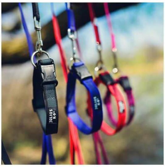 Productafbeelding Julius-K9 Rubberen hondenhalsband (L, Hond)