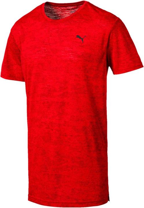 Puma Dri Release Graphic Tee (M)