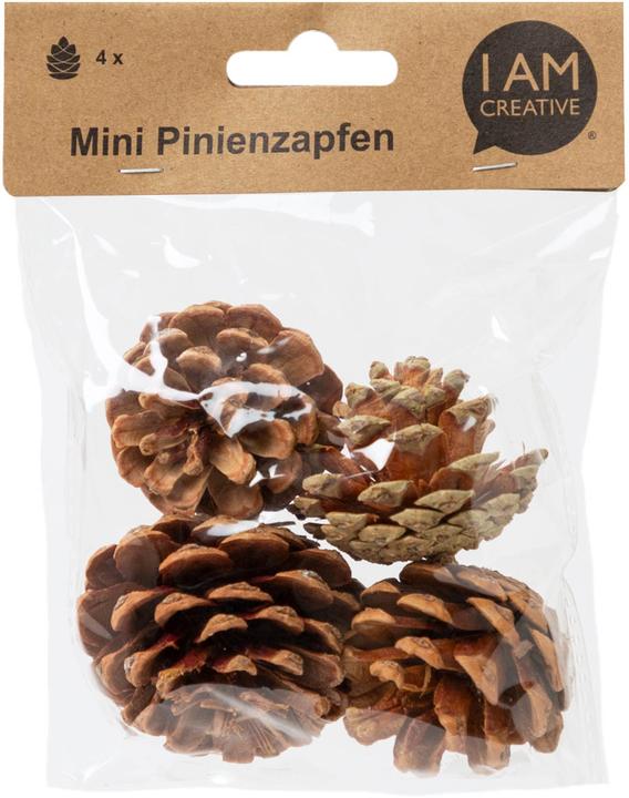 Produktbild I Am Creative Tannenzapfen, Mini Pinienzapfen, Dekozapfen