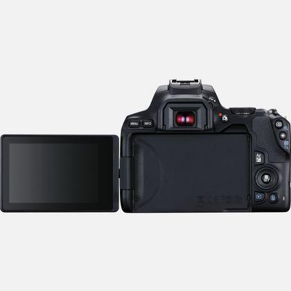 Actual product image Canon EOS 250D (24.10 Mpx, APS-C / DX)