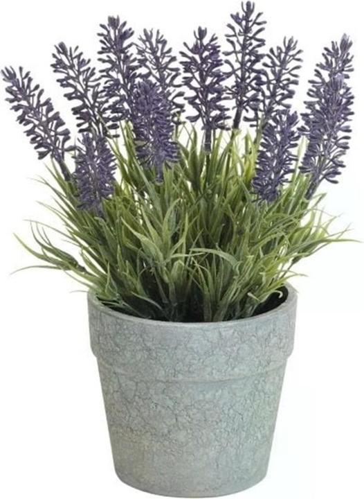 Produktbild Dekomat Lavendel (22 cm)