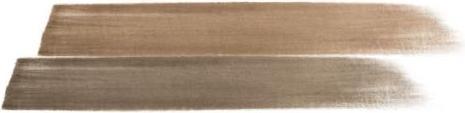 Actual product image Max Factor Real Brow Duo (Blond)
