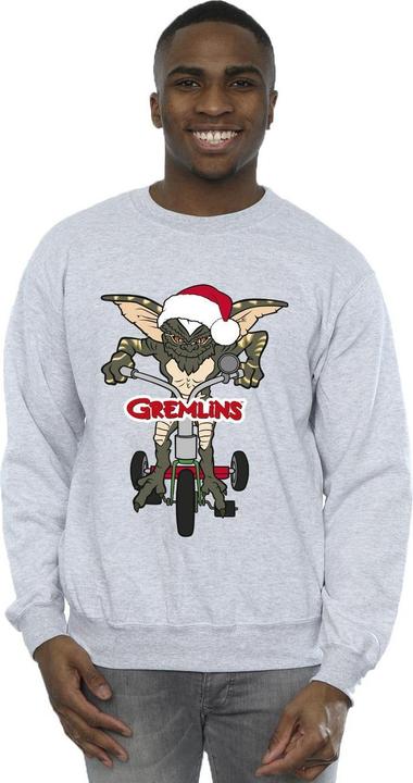 Image du produit Universal Textiles - Sweat BIKE LOGO - Homme (4XL)