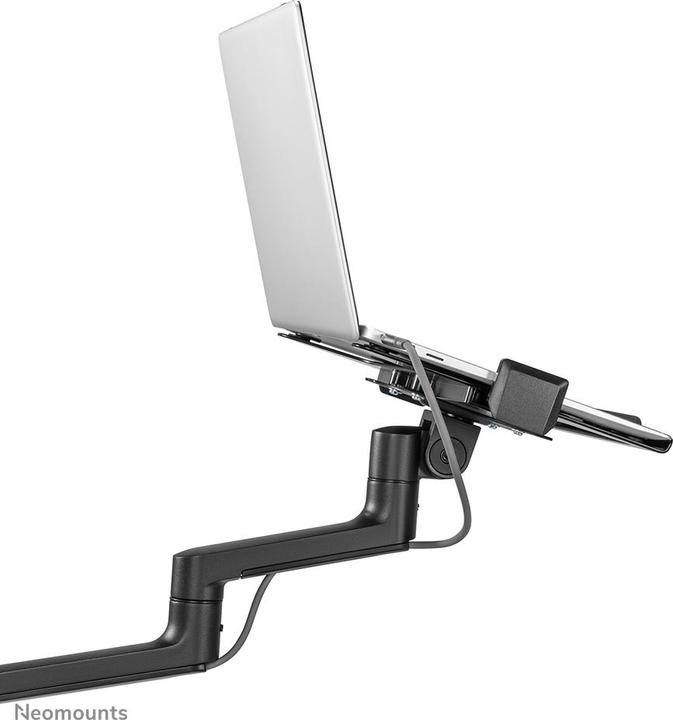 Actual product image Neomounts DS20-425BL1