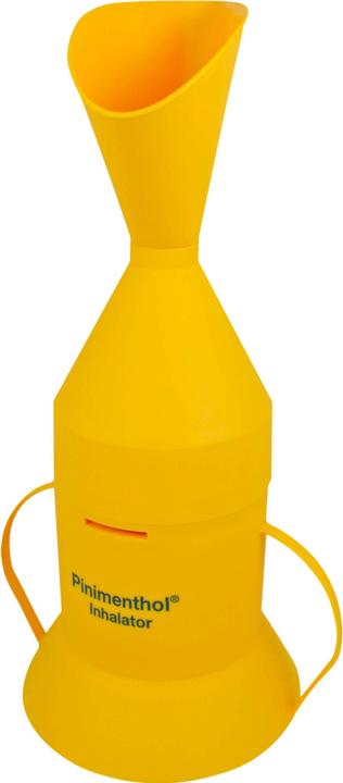 Pinimenthol Inhalator, 1 St