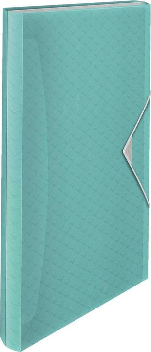 Esselte Project folder (A4, 1 x)