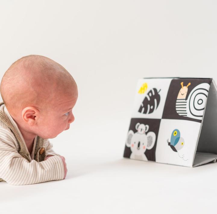 Produktbild Taf Toys Koala (Deutsch, Französisch, Italienisch, Englisch)