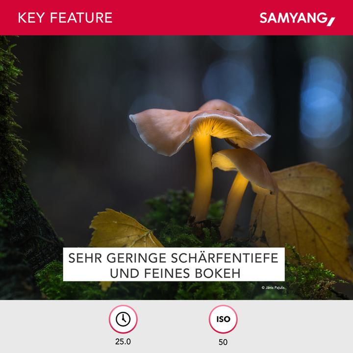 Actual product image Samyang 135mm f/2 - f/22 ED UMC - Canon EF (Canon EF, full size)