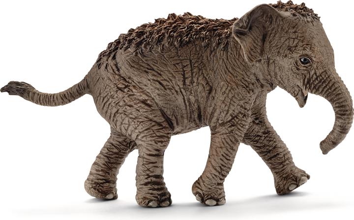 Produktbild Schleich Asiatisches Elefantenbaby