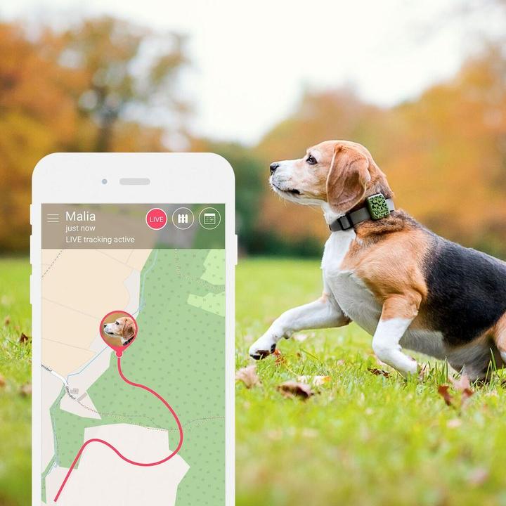 Actual product image Tractive GPS Pet Tracker (Dog)