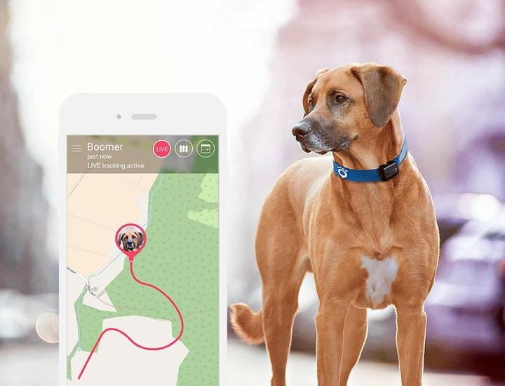 Actual product image Tractive GPS 2 Pet Tracker (Dog, Cat, Walks)