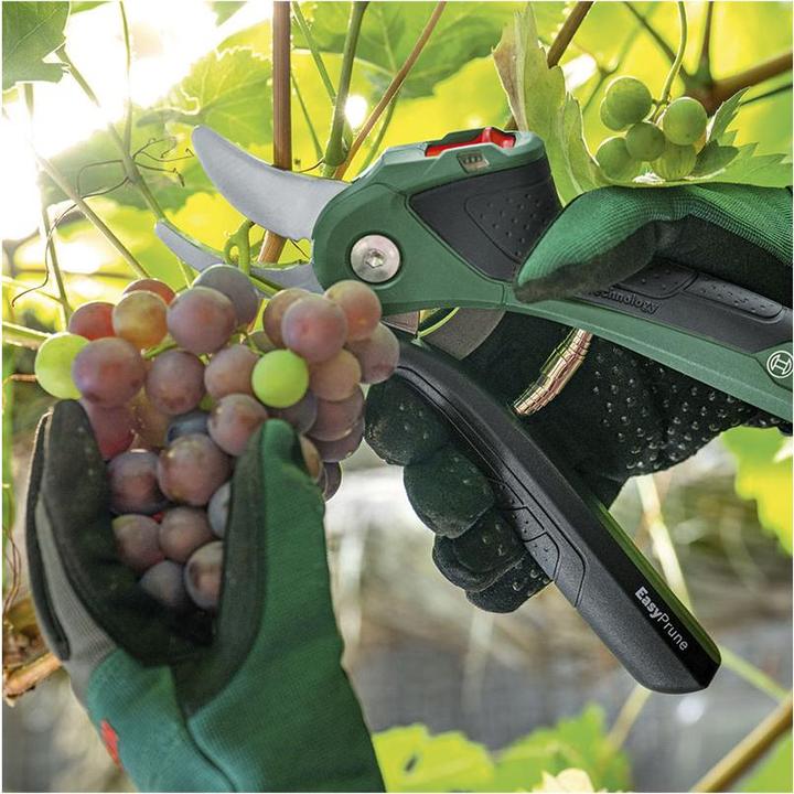 Produktbild Bosch Home & Garden EasyPrune