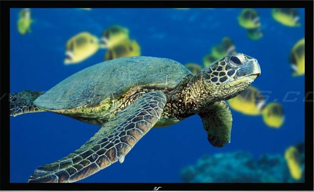 Produktbild Elite Screens ezFrame (150", 16:9)