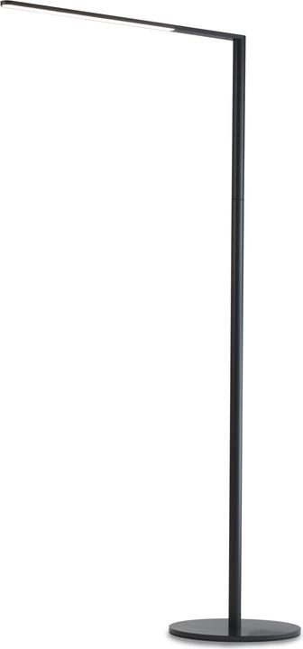 Image du produit Koncept Lady 7 Floor (320 lm)