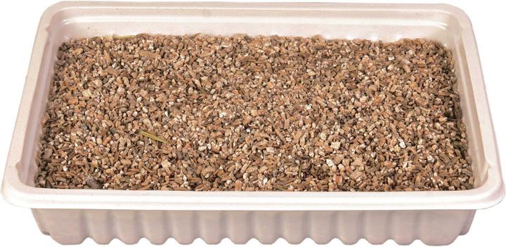 Actual product image Trixie Cat grass (Senior, Adult, 1 pcs., 100 g)
