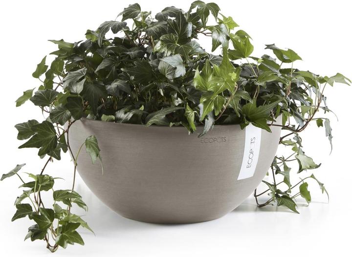 Actual product image Ecopots Brussels (30 cm)
