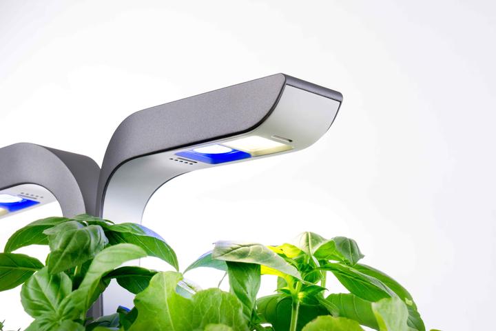 Image du produit Véritable Connect Indoor Garden (18 cm)