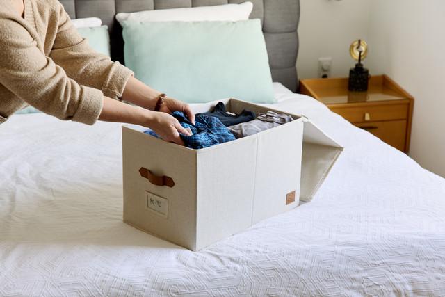 Immagine prodotto Love it Store it Scatola Premium con coperchio incernierato - XL (50 x 33 x 32,5 cm, 52.80 l)