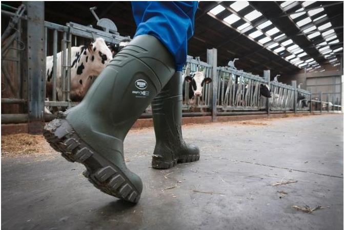 Actual product image Kerbl Safety boot S5 Bekina Steplite XCI Winter (S5, 45)