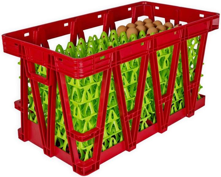 Actual product image Mainer Transport box for 360 eggs