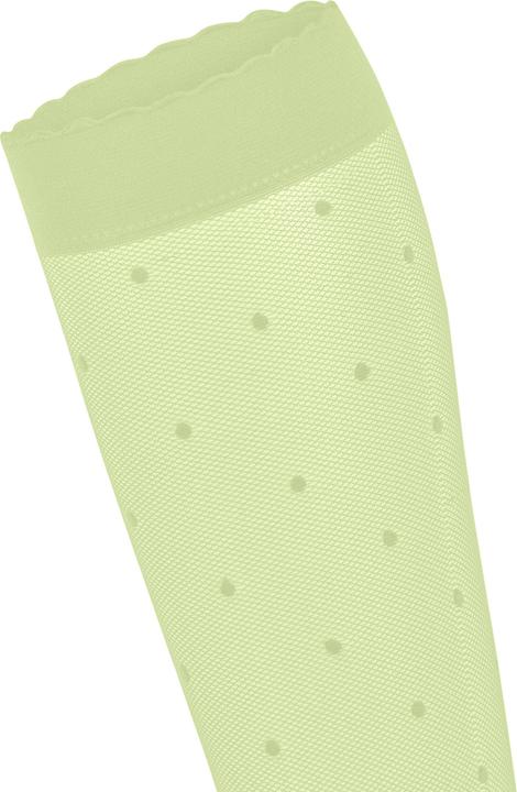Actual product image Falke Dot 15 DEN Damen (15 DEN, 39 - 42)