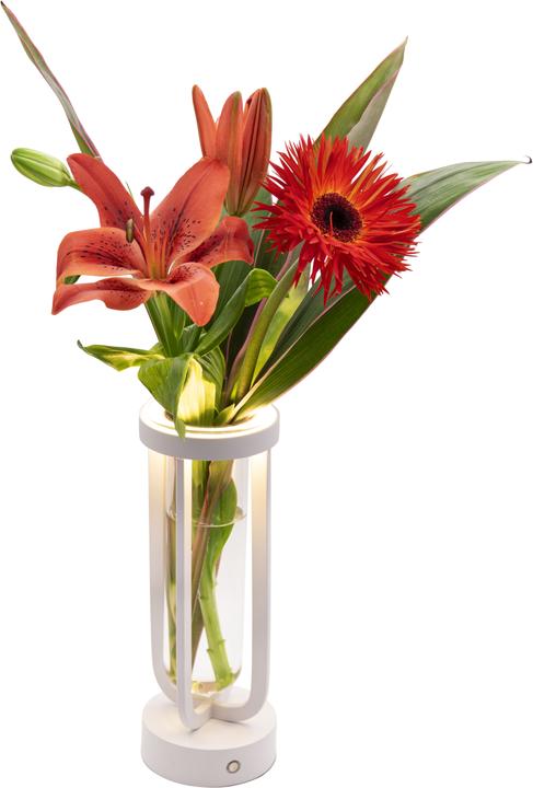 Image du produit Securit Lampe de table FLORENCE (50 lm)