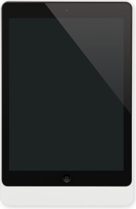 Actual product image basalte Eve Wall Mount iPad 9.7" Frame