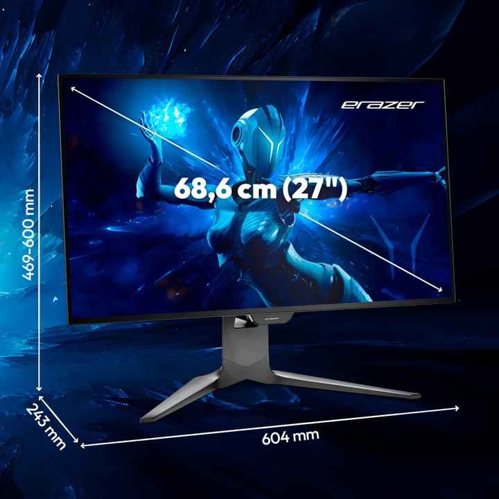 Immagine prodotto Erazer Spettatore X60 (2560 x 1440 pixel, 27")