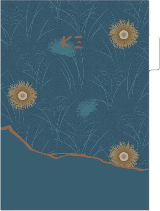 Produktbild Clairefontaine Kenzo Set 3 Registermappen (22 x 31 cm, 240 x)
