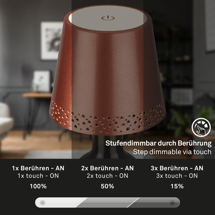 Produktbild Briloner Flaschenlicht (280 lm)
