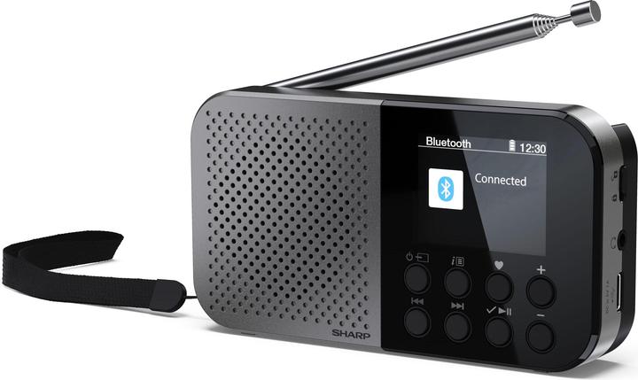 Actual product image Sharp DR-520 (FM, DAB+, VHF, Bluetooth)