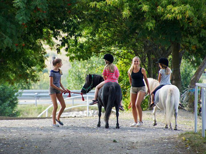 Produktbild Smartbox Ponyreiten für Kinder in der Nähe von Zürich (1 Pers.)