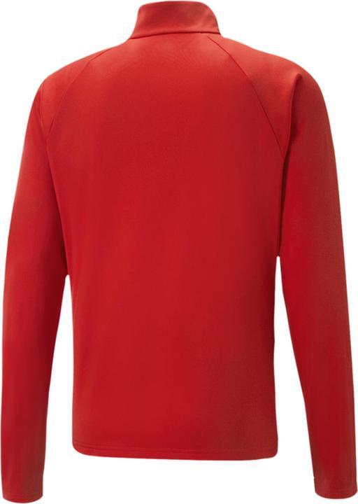 Actual product image Puma teamLIGA Graphic (L)