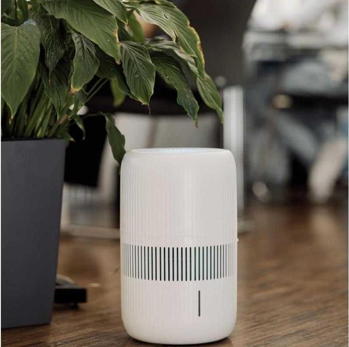 Actual product image ecofort ecoQ HumidAir E600+ (80 m²)